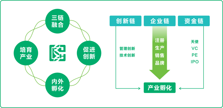 太阳GG官网式孵化